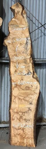 Live Edge Kiln Dried Chestnut Timber Slab, 3.1m x 620mm x 50mm