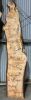 Live Edge Kiln Dried Chestnut Timber Slab, 3.1m x 620mm x 50mm