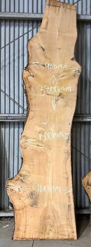 Live Edge Kiln Dried Chestnut Timber Slab, 3.8m x 887mm x 50mm