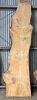Live Edge Kiln Dried Chestnut Timber Slab, 3.8m x 887mm x 50mm