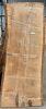 Live Edge Sugar Gum Timber Slab, 1.94m x 760mm x 50mm - 2