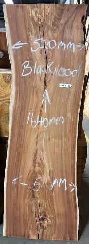 Live Edge Blackwood Timber Slab, 1.64m x 520mm x 32mm