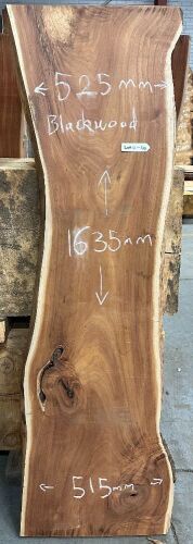 Live Edge Blackwood Timber Slab, 1.64m x 520mm x 32mm