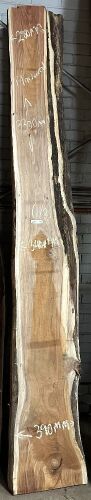 Live Edge Blackwood Timber Slab, 2 pieces, 3.3m x 337mm x 36mm