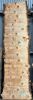 Live Edge Bunya Pine Timber Slab, 4.1m x 1005mm x 50mm