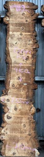 Live Edge Bunya Pine Timber Slab, 4.1m x 685mm x 50mm