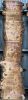 Live Edge Bunya Pine Timber Slab, 4.1m x 685mm x 50mm