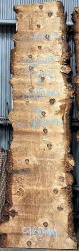 Live Edge Bunya Pine Timber Slab, 4.12m x 912mm x 50mm