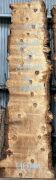 Live Edge Bunya Pine Timber Slab, 4.12m x 912mm x 50mm