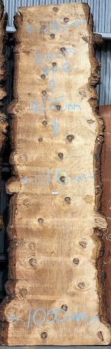Live Edge Bunya Pine Timber Slab, 4.13m x 982mm x 50mm
