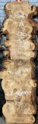 Live Edge Bunya Pine Timber Slab, 2.91m x 563mm x 50mm
