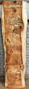 Live Edge Bunya Pine Timber Slab, 1.97m x 380mm x 50mm