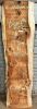 Live Edge Bunya Pine Timber Slab, 1.97m x 380mm x 50mm