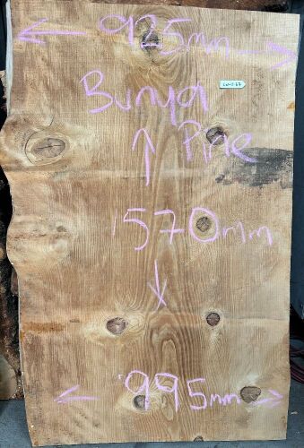 Live Edge Bunya Pine Timber Slab, 1.57m x 960mm x 50m