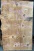 Live Edge Bunya Pine Timber Slab, 1.57m x 960mm x 50m