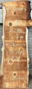 Live Edge Bunya Pine Timber Slab, 2.28m x 573mm x 50mm