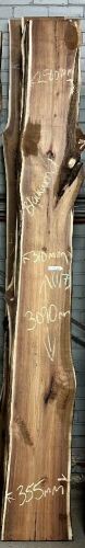 Live Edge Blackwood Timber Slab, 7 pieces, 3.09m x 315mm x 36mm