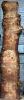 Live Edge Bunya Pine Timber Slab, 4.15m x 500mm x 50mm