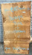 Live Edge Bunya Pine Timber Slab, 1.5m x 775mm x 50mm