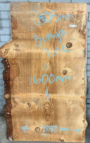 Live Edge Bunya Pine Timber Slab, 1.6m x 843mm x 50mm
