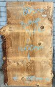 Live Edge Bunya Pine Timber Slab, 1.6m x 843mm x 50mm