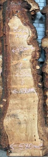 Live Edge Bunya Pine Timber Slab, 2.55m x 487mm x 50mm