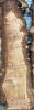 Live Edge Bunya Pine Timber Slab, 2.55m x 487mm x 50mm