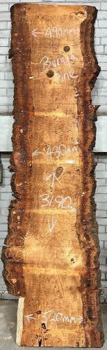 Live Edge Bunya Pine Timber Slab, 3.19m x 485mm x 50mm