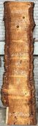 Live Edge Bunya Pine Timber Slab, 3.19m x 485mm x 50mm