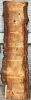 Live Edge Bunya Pine Timber Slab, 3.19m x 485mm x 50mm