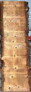Live Edge Bunya Pine Timber Slab, 3.24m x 817mm x 50mm
