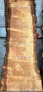 Live Edge Bunya Pine Timber Slab, 3.01m x 880mm x 50mm