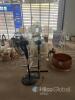 Mixed Table Lamps Assortment