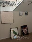 Framed Artworks and Prints Collection, Mixed Subjects