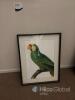 Framed Artworks and Prints Collection, Mixed Subjects - 2