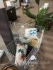 Assorted Decorative Throw Pillows - 7
