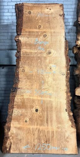 Live Edge Bunya Pine Timber Slab, 3.06 x 1037mm x 50mm