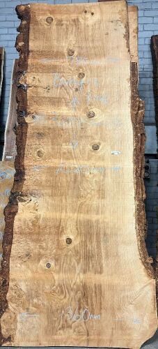 Live Edge Bunya Pine Timber Slab, 3.2m x 1055mm x 50mm
