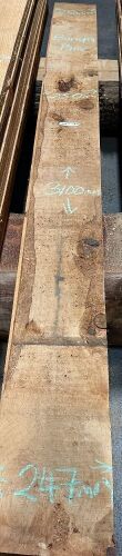 Bunya Pine Boards, 3.1m x 248mm x 50mm x 2 pieces