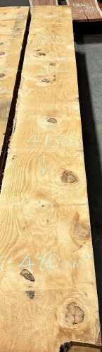 Bunya Pine Boards, 4.15m x 482mm x 50mm x 7 pieces