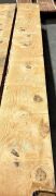 Bunya Pine Boards, 4.15m x 482mm x 50mm x 7 pieces