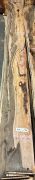 Live Edge Mountain Grey Gum Timber Slab, 3.03m x 200mm x 25mm x 10 pieces