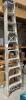 Bailey Extension Ladder