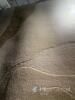 Morant 200x300cm Area Rug - 4