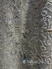 Crucial Grey Patterned Area Rug 200x300cm - 3