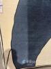 Como 200x300cm Modern Abstract Area Rug, cream and navy blue colour, geometric pattern, approximate dimensions 200 cm x 300 cm - 2