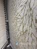 Cameo 200x300 cm Area Rug - 2
