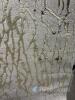 Cameo 200x300 cm Area Rug - 3