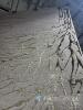 Cameo 200x300 cm Area Rug - 4