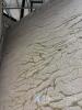 Cameo 200x300 cm Area Rug - 5